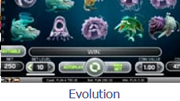 Игровой автомат Evolution. 